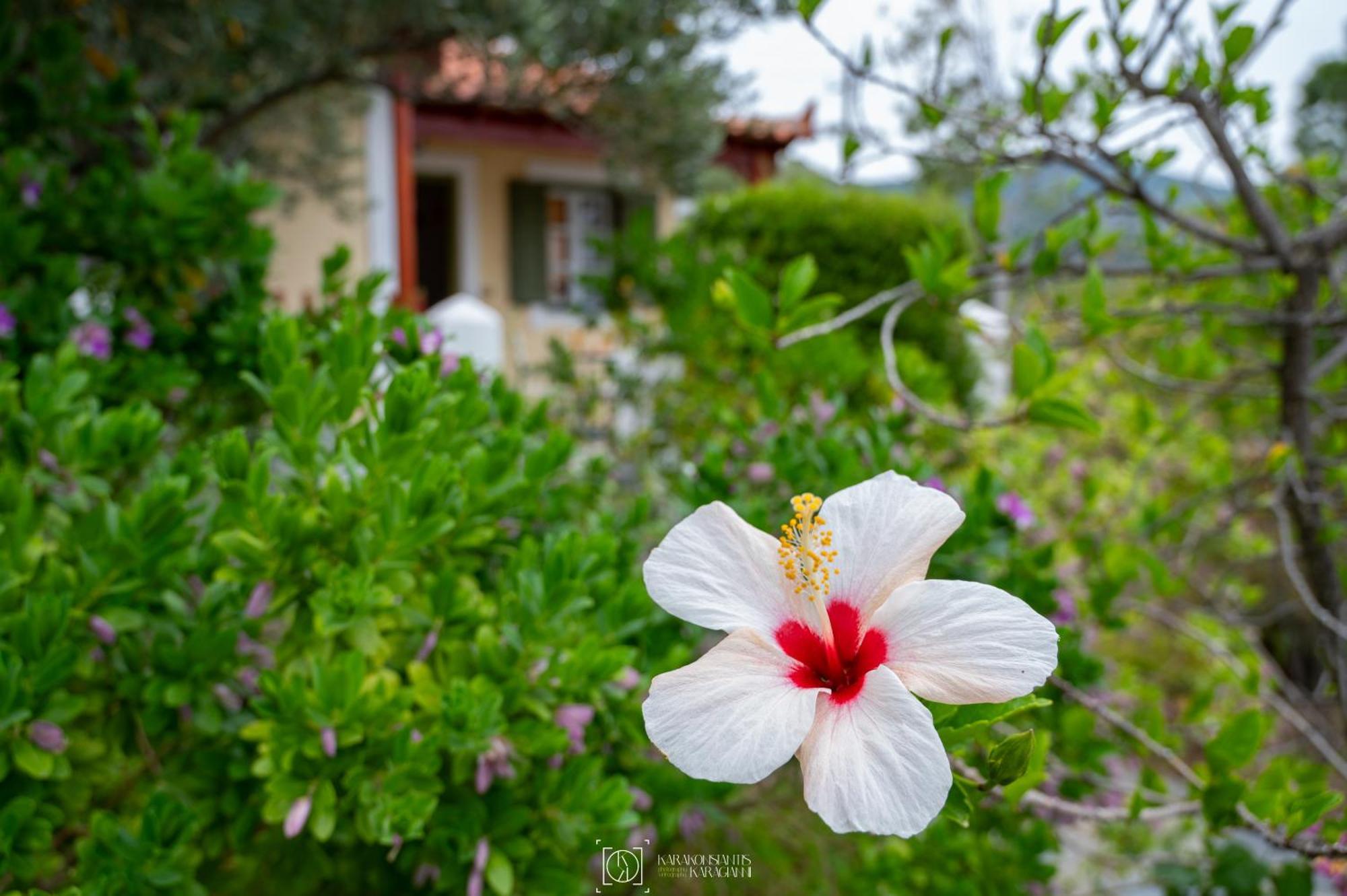 Pleiades Samos Marathókampos Exterior foto